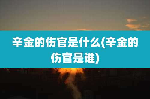 辛金的伤官是什么(辛金的伤官是谁)