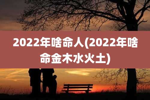 2022年啥命人(2022年啥命金木水火土)