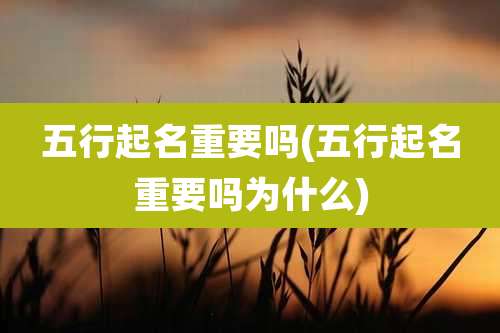 五行起名重要吗(五行起名重要吗为什么)