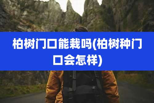 柏树门口能栽吗(柏树种门口会怎样)