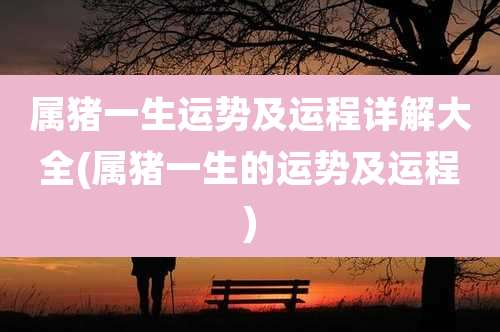 属猪一生运势及运程详解大全(属猪一生的运势及运程)