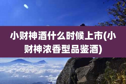 小财神酒什么时候上市(小财神浓香型品鉴酒)