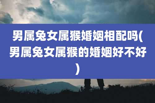 男属兔女属猴婚姻相配吗(男属兔女属猴的婚姻好不好)