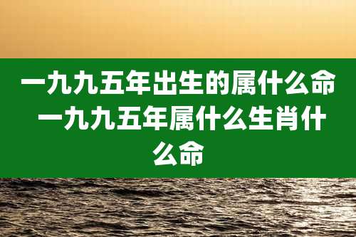 一九九五年出生的属什么命 一九九五年属什么生肖什么命