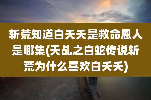 斩荒知道白夭夭是救命恩人是哪集(天乩之白蛇传说斩荒为什么喜欢白夭夭)