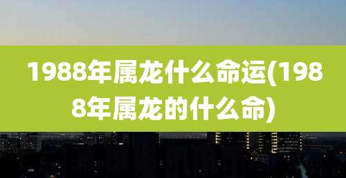 1988年属龙什么命运(1988年属龙的什么命)
