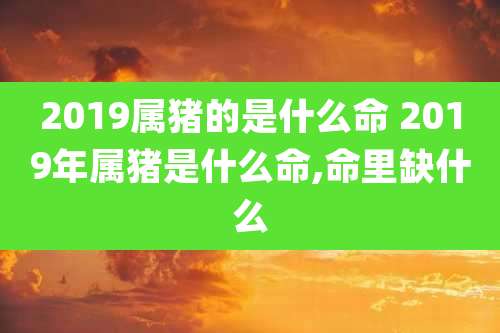 2019属猪的是什么命 2019年属猪是什么命,命里缺什么