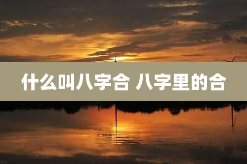 什么叫八字合 八字里的合