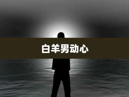 白羊男动心