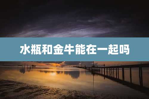 水瓶和金牛能在一起吗