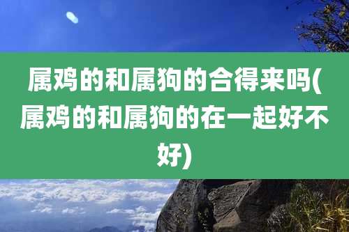 属鸡的和属狗的合得来吗(属鸡的和属狗的在一起好不好)
