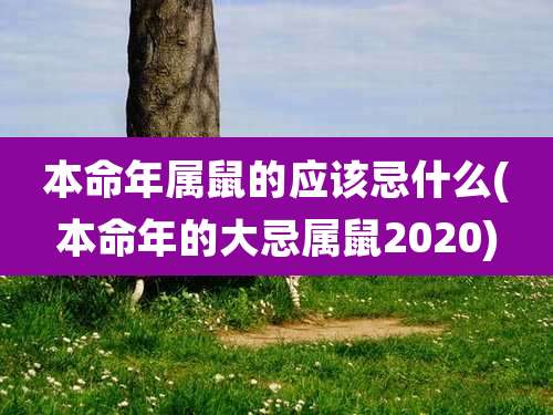 本命年属鼠的应该忌什么(本命年的大忌属鼠2020)