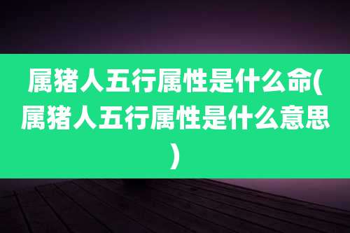 属猪人五行属性是什么命(属猪人五行属性是什么意思)