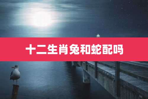 十二生肖兔和蛇配吗