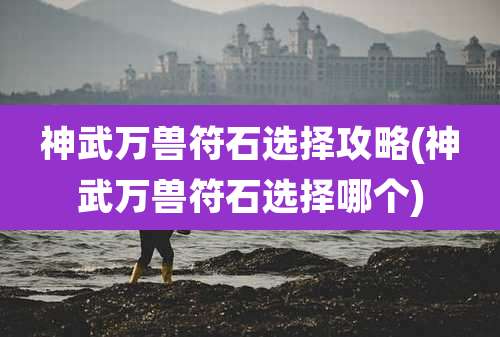神武万兽符石选择攻略(神武万兽符石选择哪个)