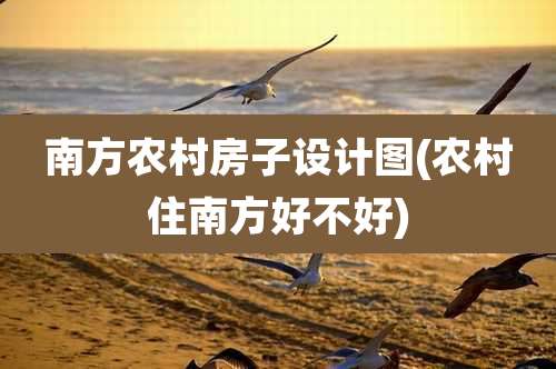 南方农村房子设计图(农村住南方好不好)