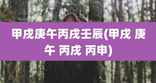 甲戌庚午丙戌壬辰(甲戌 庚午 丙戌 丙申)