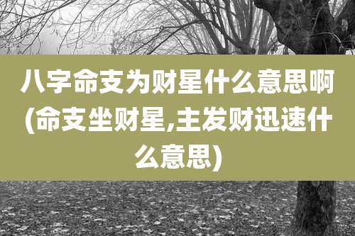 八字命支为财星什么意思啊(命支坐财星,主发财迅速什么意思)