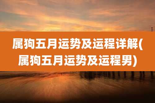 属狗五月运势及运程详解(属狗五月运势及运程男)
