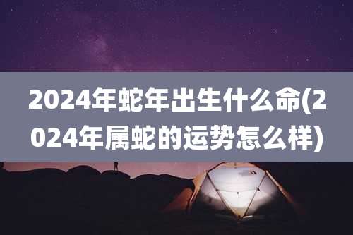 2024年蛇年出生什么命(2024年属蛇的运势怎么样)