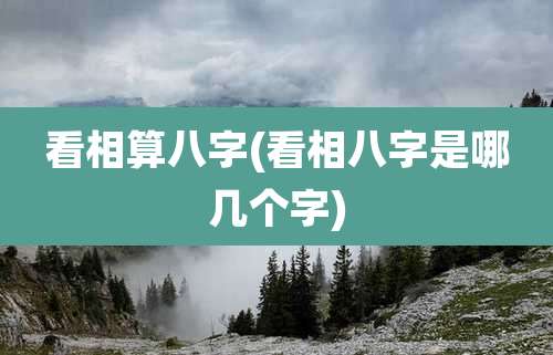 看相算八字(看相八字是哪几个字)