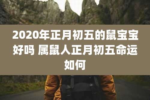 2020年正月初五的鼠宝宝好吗 属鼠人正月初五命运如何