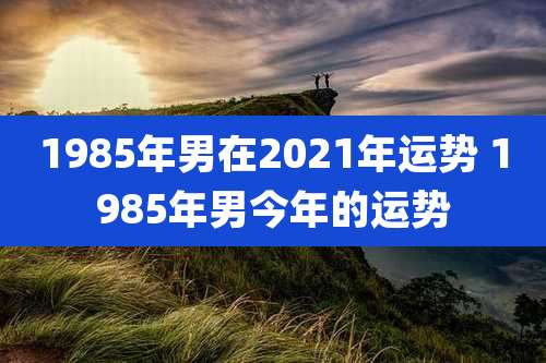 1985年男在2021年运势 1985年男今年的运势