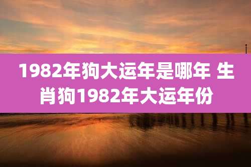 1982年狗大运年是哪年 生肖狗1982年大运年份