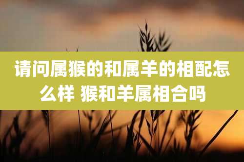 请问属猴的和属羊的相配怎么样 猴和羊属相合吗
