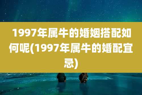 1997年属牛的婚姻搭配如何呢(1997年属牛的婚配宜忌)