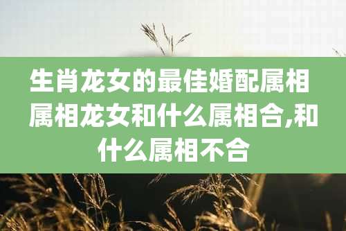 生肖龙女的最佳婚配属相 属相龙女和什么属相合,和什么属相不合