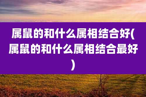 属鼠的和什么属相结合好(属鼠的和什么属相结合最好)