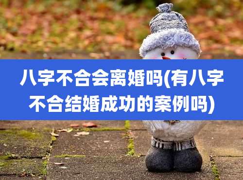 八字不合会离婚吗(有八字不合结婚成功的案例吗)