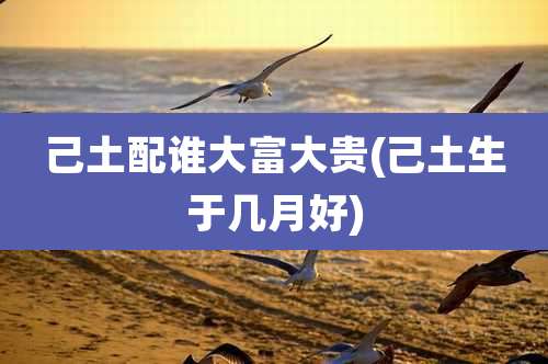 己土配谁大富大贵(己土生于几月好)