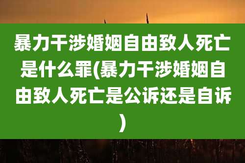 暴力干涉婚姻自由致人死亡是什么罪(暴力干涉婚姻自由致人死亡是公诉还是自诉)