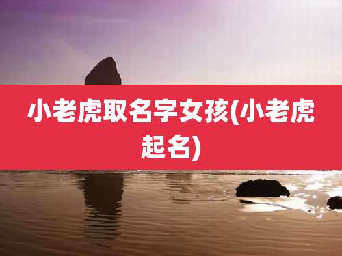 小老虎取名字女孩(小老虎起名)