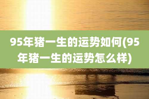 95年猪一生的运势如何(95年猪一生的运势怎么样)