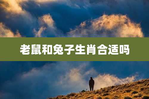 老鼠和兔子生肖合适吗