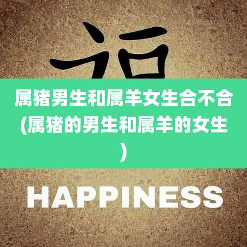 属猪男生和属羊女生合不合(属猪的男生和属羊的女生)