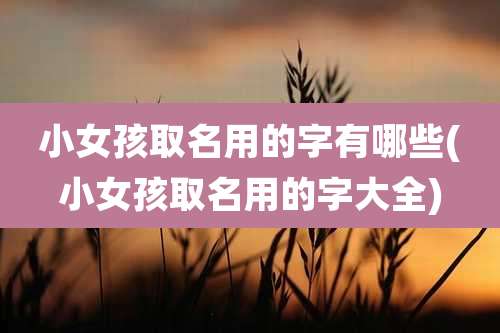 小女孩取名用的字有哪些(小女孩取名用的字大全)