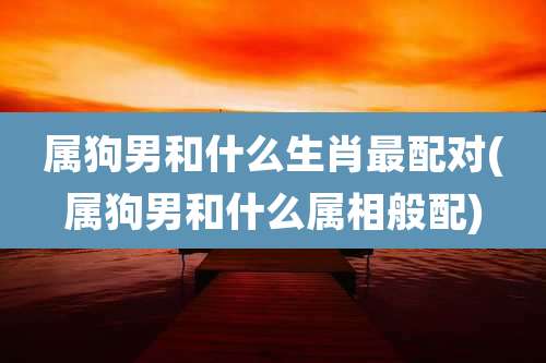 属狗男和什么生肖最配对(属狗男和什么属相般配)