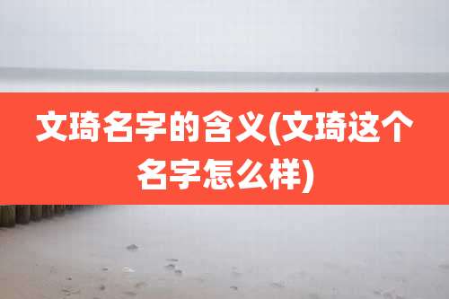 文琦名字的含义(文琦这个名字怎么样)
