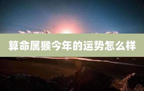算命属猴今年的运势怎么样