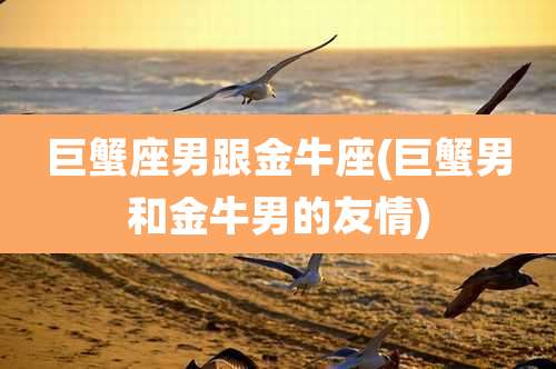 巨蟹座男跟金牛座(巨蟹男和金牛男的友情)