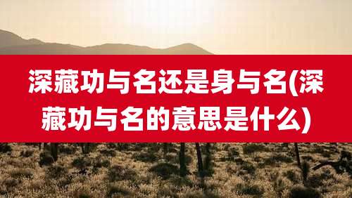 深藏功与名还是身与名(深藏功与名的意思是什么)