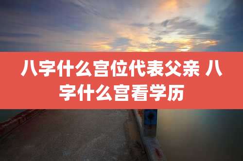 八字什么宫位代表父亲 八字什么宫看学历