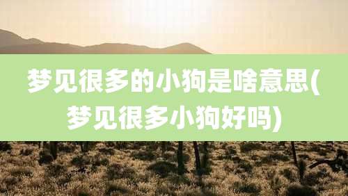 梦见很多的小狗是啥意思(梦见很多小狗好吗)