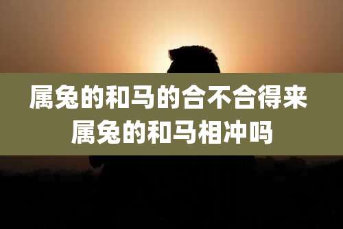 属兔的和马的合不合得来 属兔的和马相冲吗