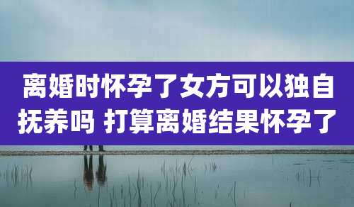 离婚时怀孕了女方可以独自抚养吗 打算离婚结果怀孕了