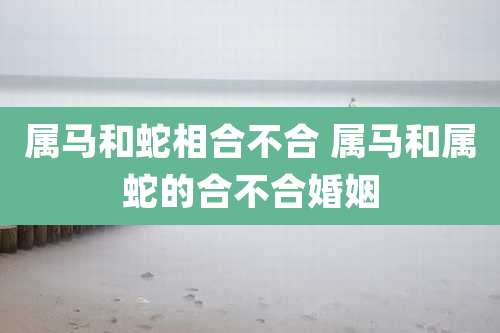 属马和蛇相合不合 属马和属蛇的合不合婚姻